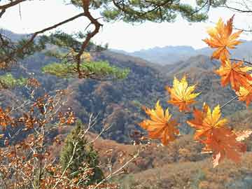 药流药光大策略：A股或震荡上行 关注三类资产