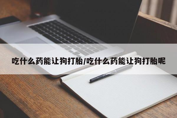 药流药吃什么药能让狗打胎/吃什么药能让狗打胎呢